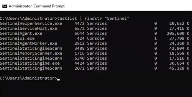 Figure 1 SentinelOne Processes Prior to the Version Change