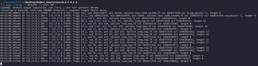 Figure 11 The tcpdump sniffer successfully capturing the Modbus traffic