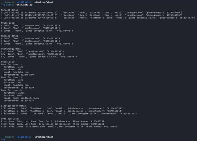 Figure 21. The `fetch_data.py` output