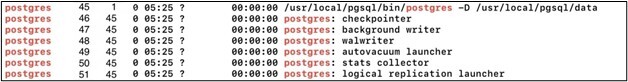 Figure 3.3. List of processes that use ‘postgres’