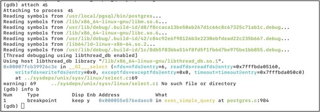 Figure 3.4. Attachment of the process with a pid 45 and confirmation that the breakpoint is active