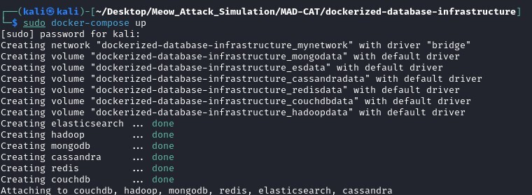 Figure 4. Creation and initialization of the Dockerized database infrastructure