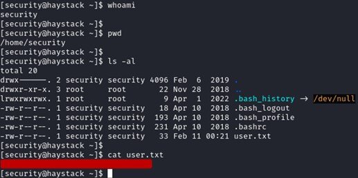 Figure 51. Locate and expose the user flag content (`user.txt`)