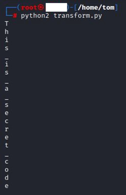 Hidden Data Exfiltration Using Time- Literally-10
