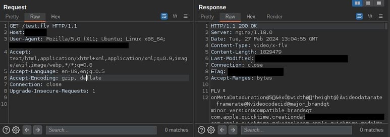 normal request response for test.flv