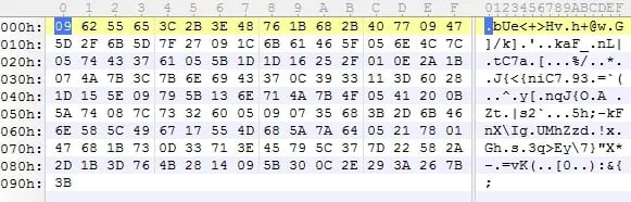 11203_ae26c157-d236-4654-9d0e-787b122e2faf