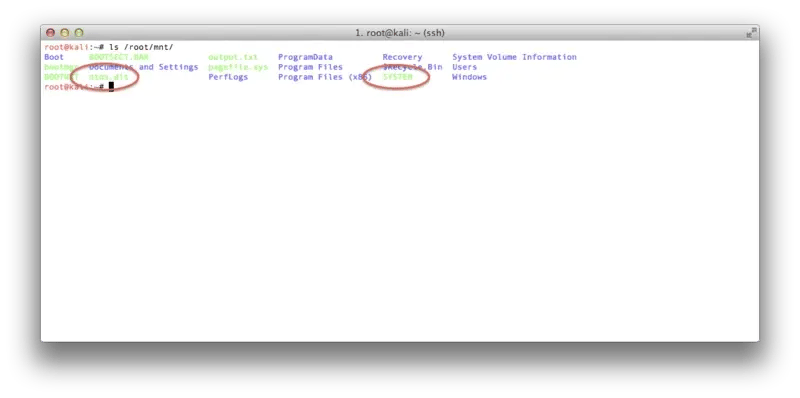 12134_db3c07bd-eee9-43ea-81e1-00347ef3a527