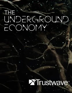 16254_the-underground-economy-cover