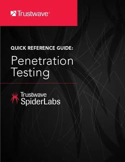 17696_qrg-penetration-testing-cover