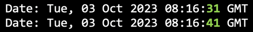 Hidden Data Exfiltration Using Time- Literally-6
