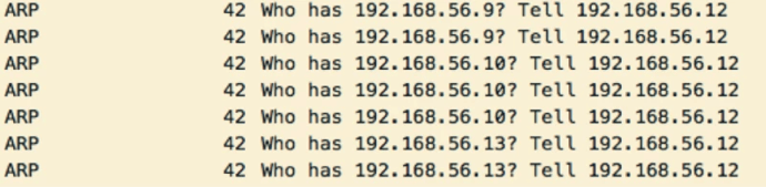 12463_eaf5d98f-390a-4ea2-b242-3d66803fccfe