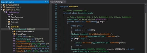 BSL_20143_picture19jj
